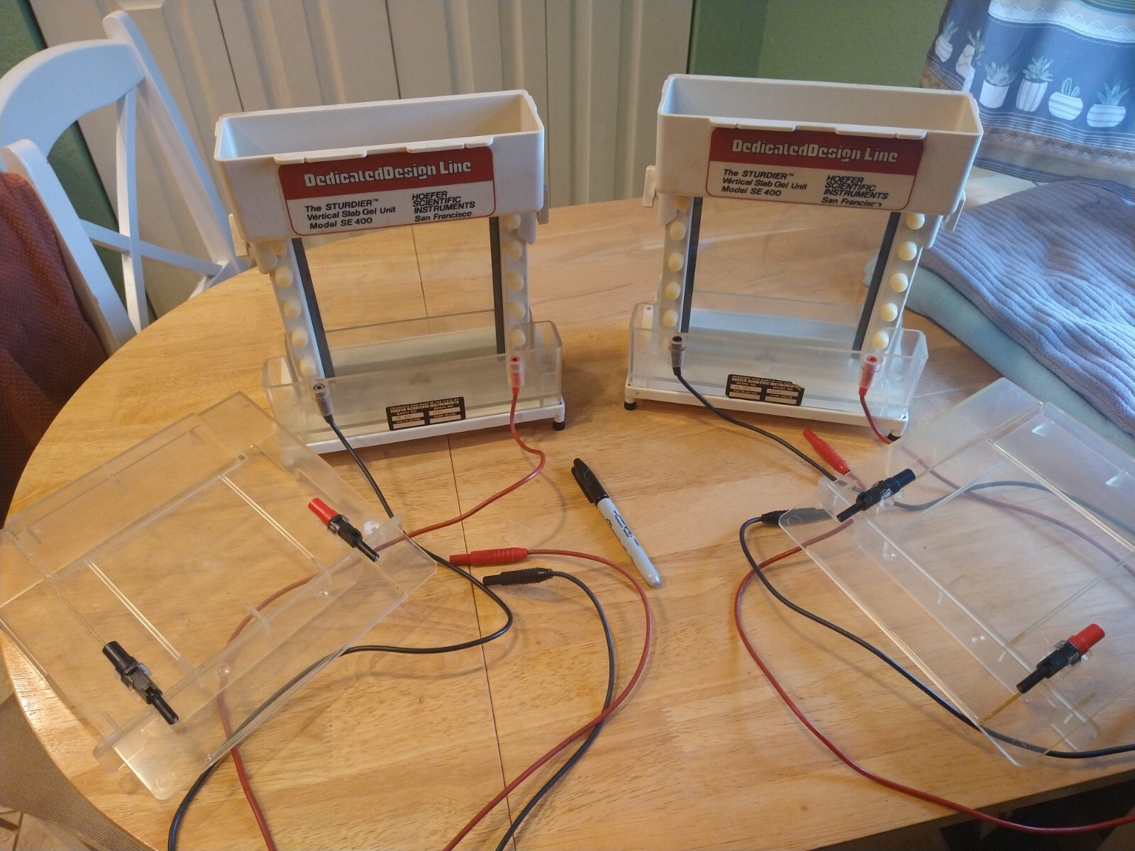 Gel Electrophoresis and ImmunoBlot Devices