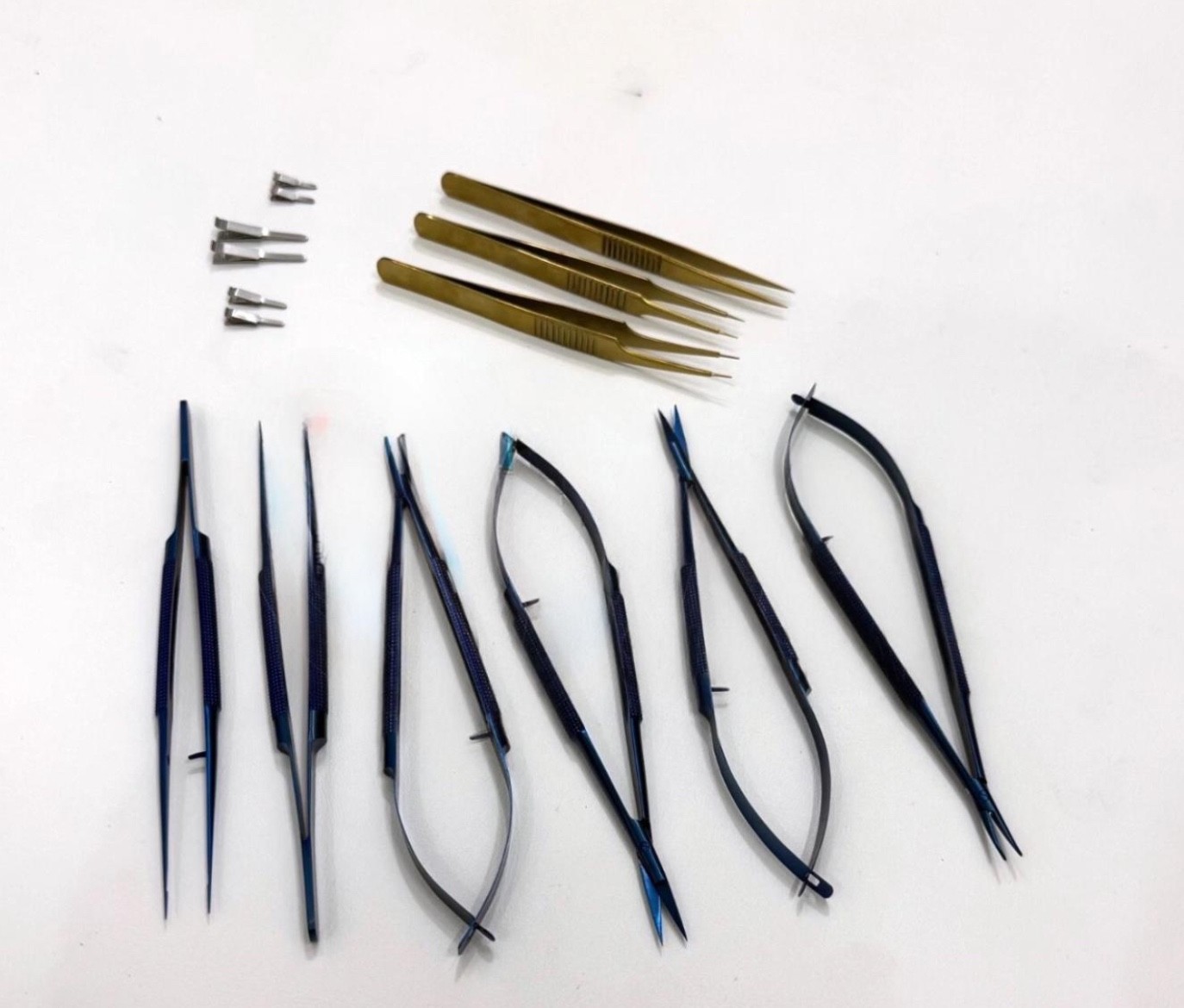 Microsurgery Instrument Set of 12 Pcs Micro Surgical Instruments with Steel Case
