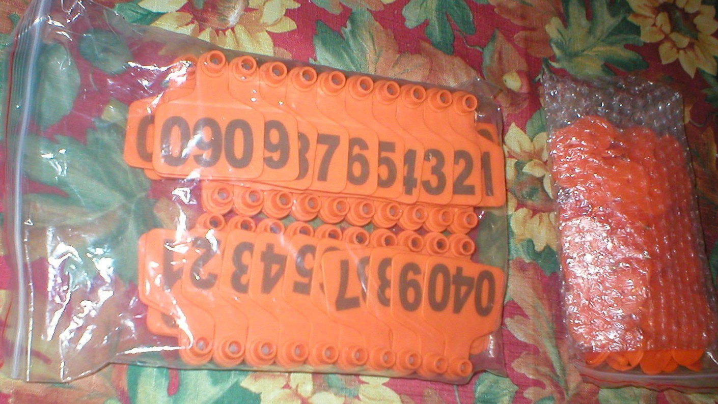 LIVESTOCK ANIMAL EAR TAGS ORANGE PLASTIC LOT OF 100 SOLD AS IS