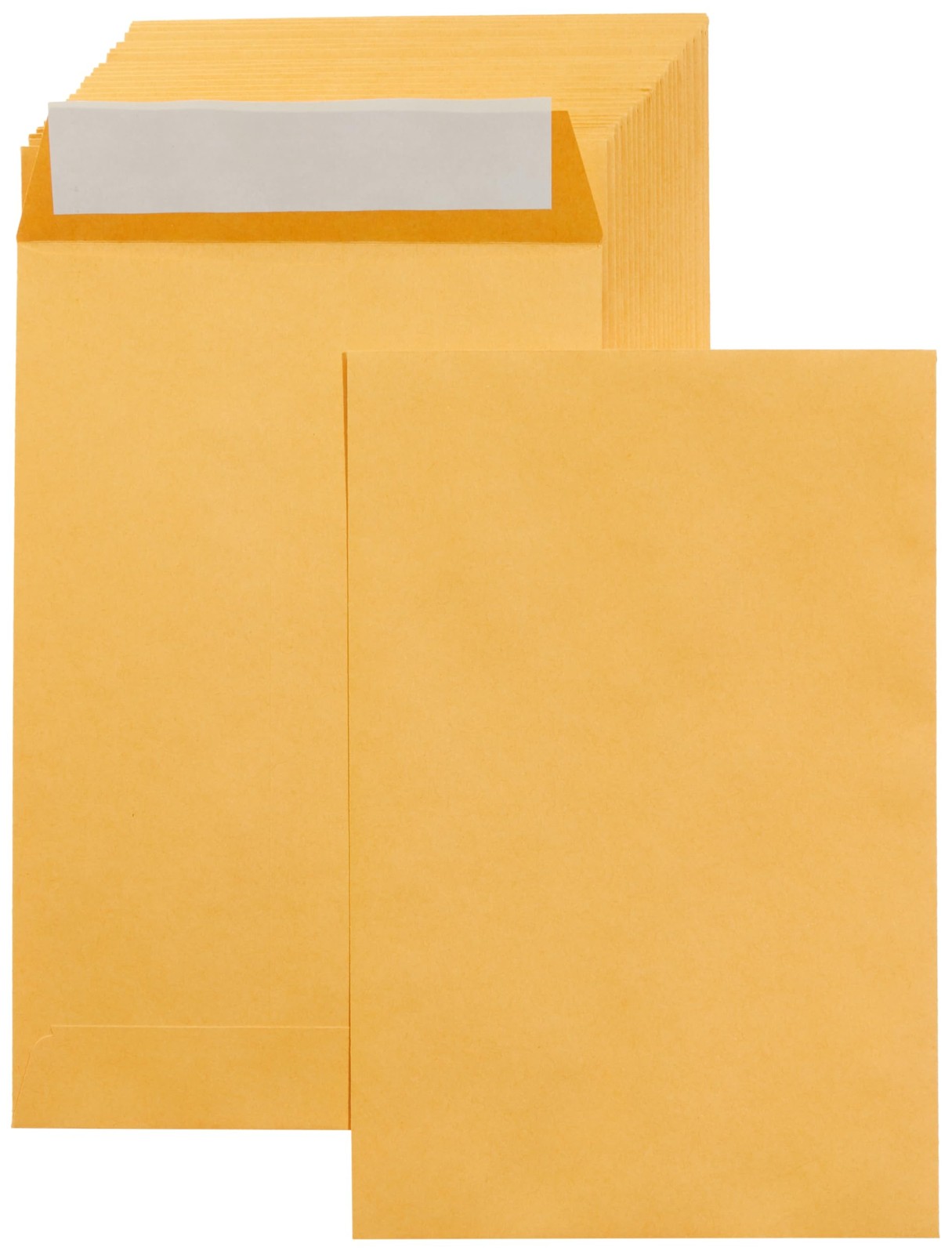 Manilla Envelope 6×9 Manila Self Stick Mailing Safe Security Business No.1 100pk