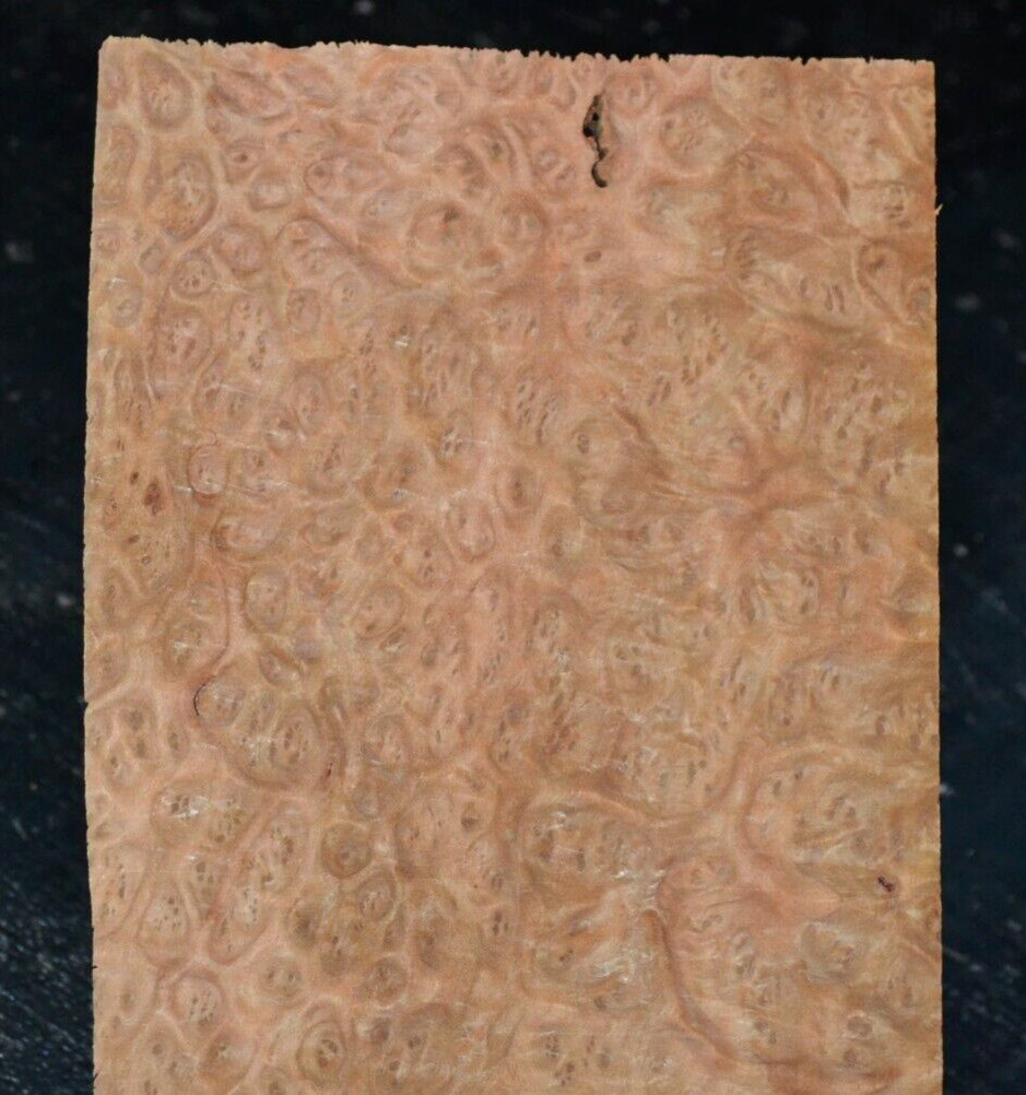 Eucalyptus Burl Raw Wood Veneer Sheets 5 x 13 inches 1/42nd 5940-11