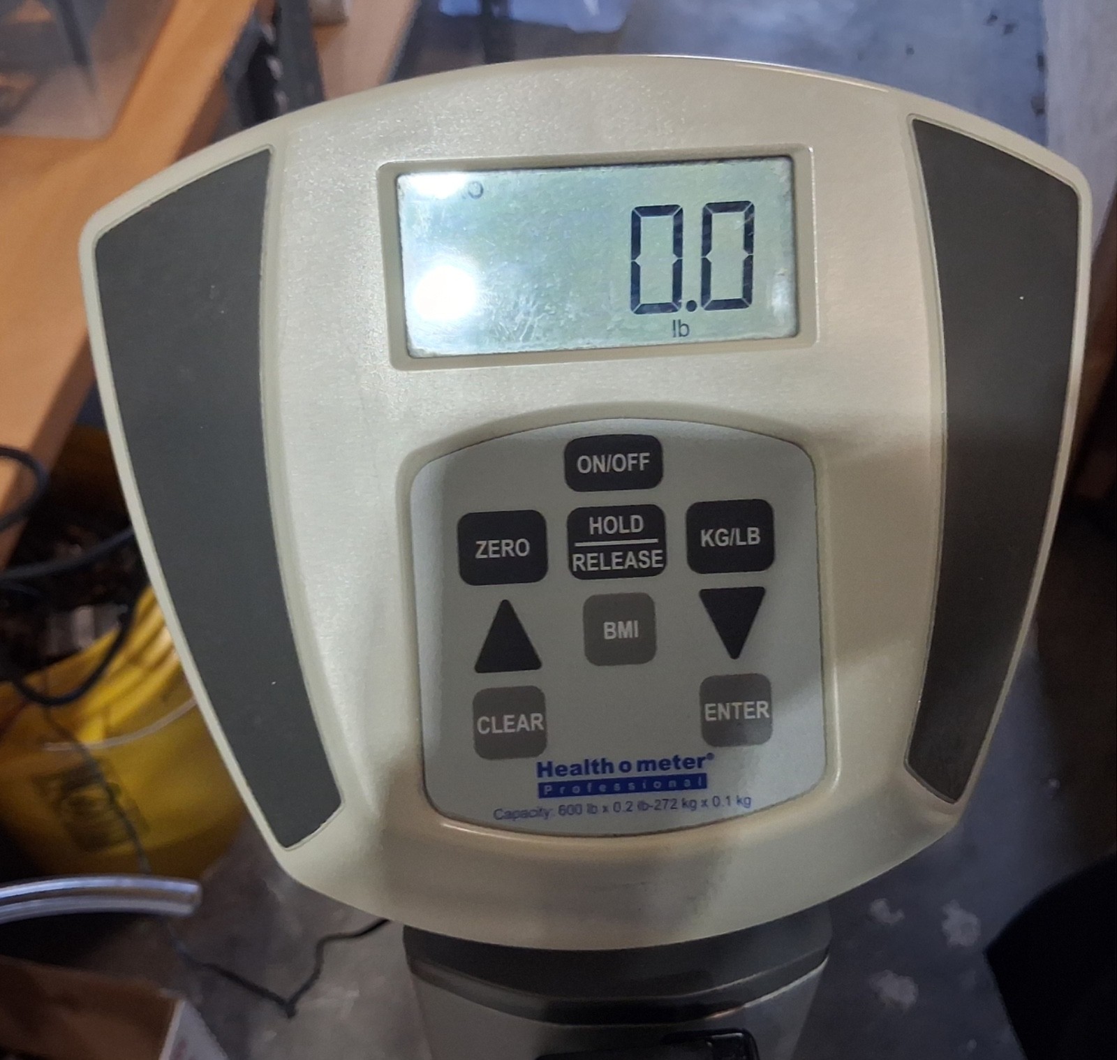 Healthometer 597KL Digital Scale With Measuring Rod & Power Supply