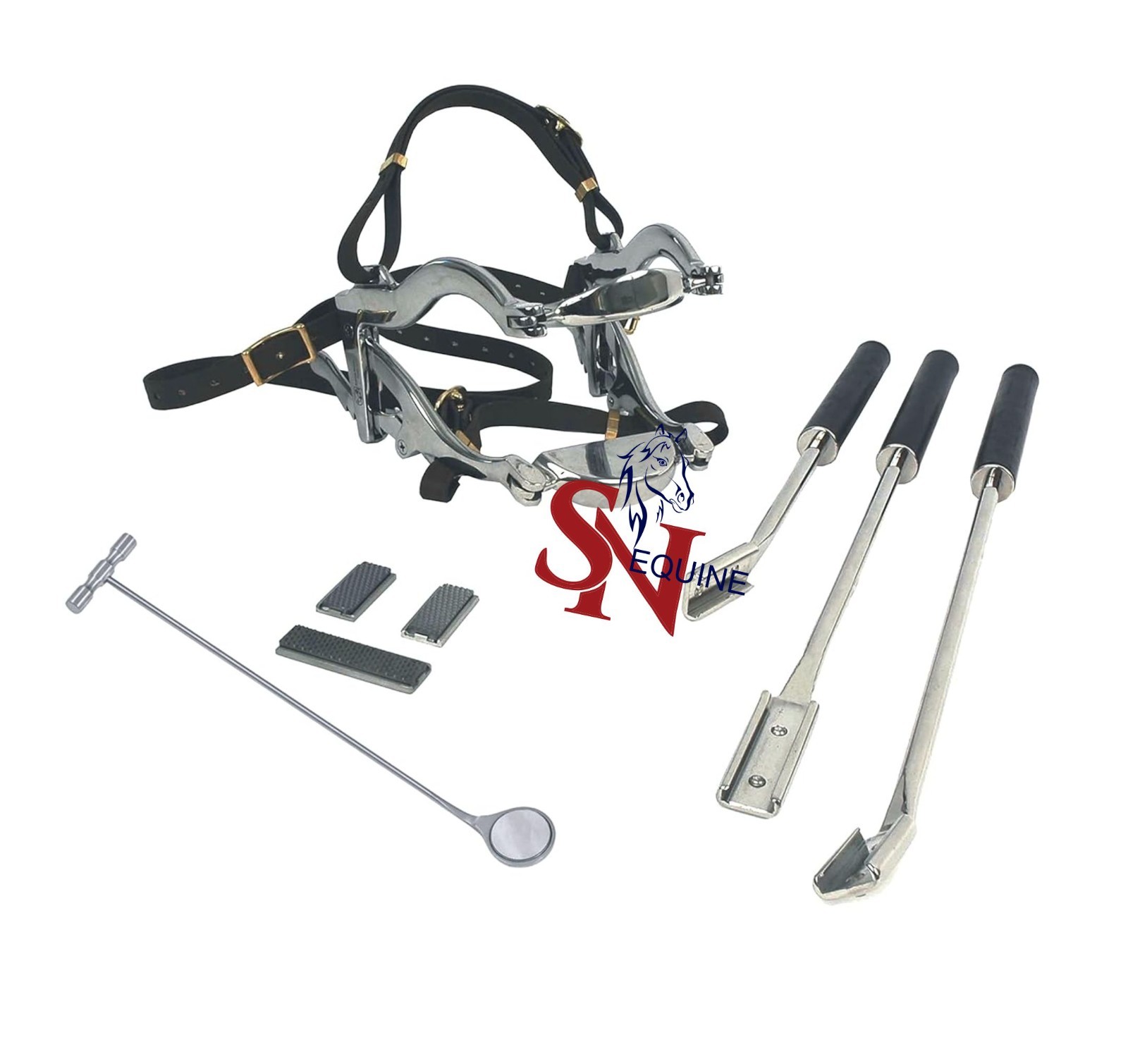 Equine kit 4000 Series Speculum ,3 Dental Floats set & Rasp Blade, Dental Mirror