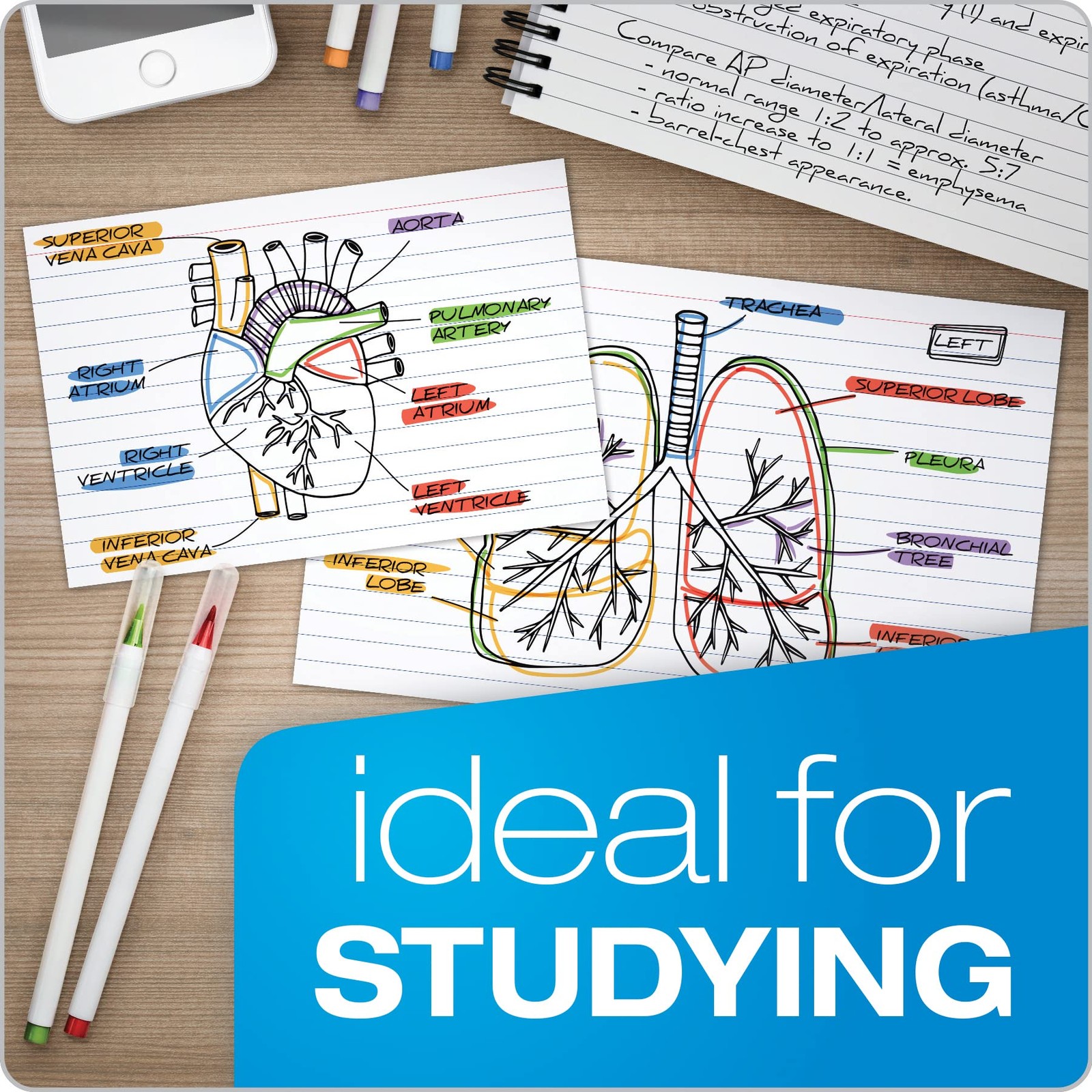 Index Cards, 3 x 5 Inches, White, Lined on Front, Blank on Back 500 Count 5 Pac