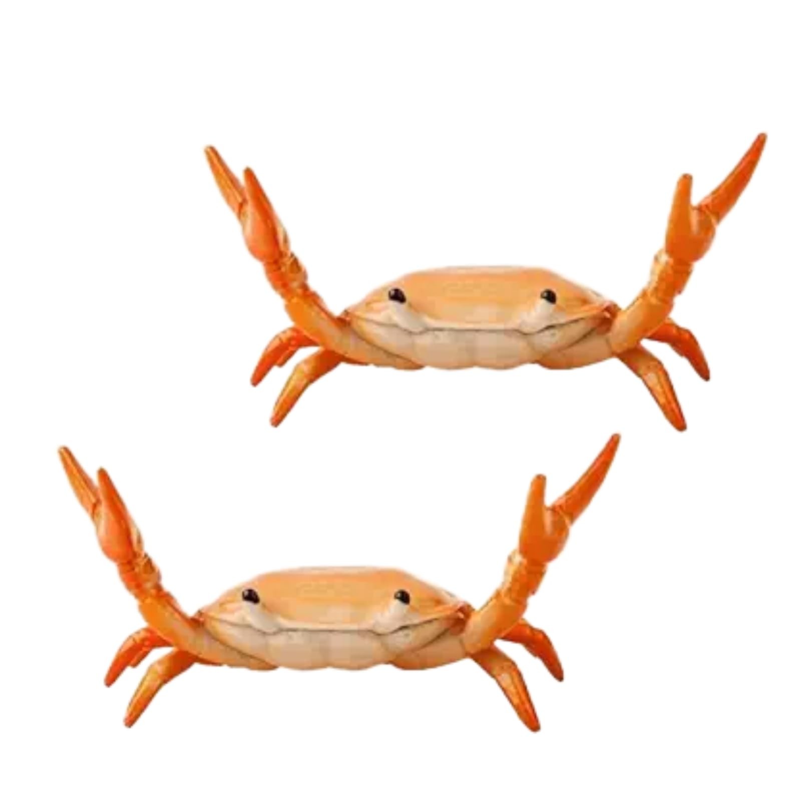 Calsgkspray 2Pcs Creative Crab Pen Holder Weightlifting Crabs Orange