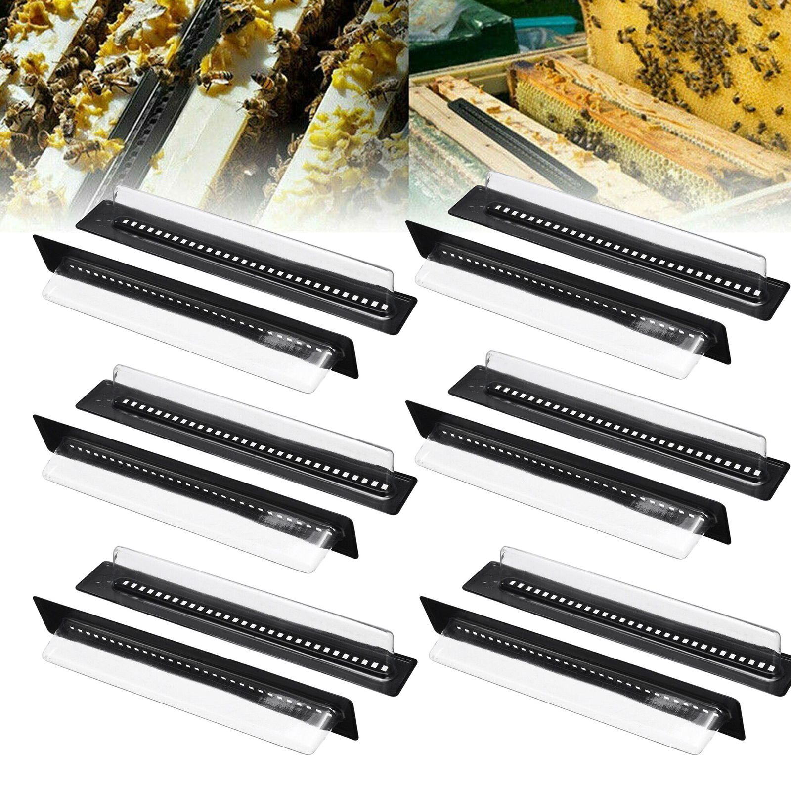 10X Plastic Small Bee Hive Beetle Blaster BeeHive Beetle Trap Beekeeping Tools