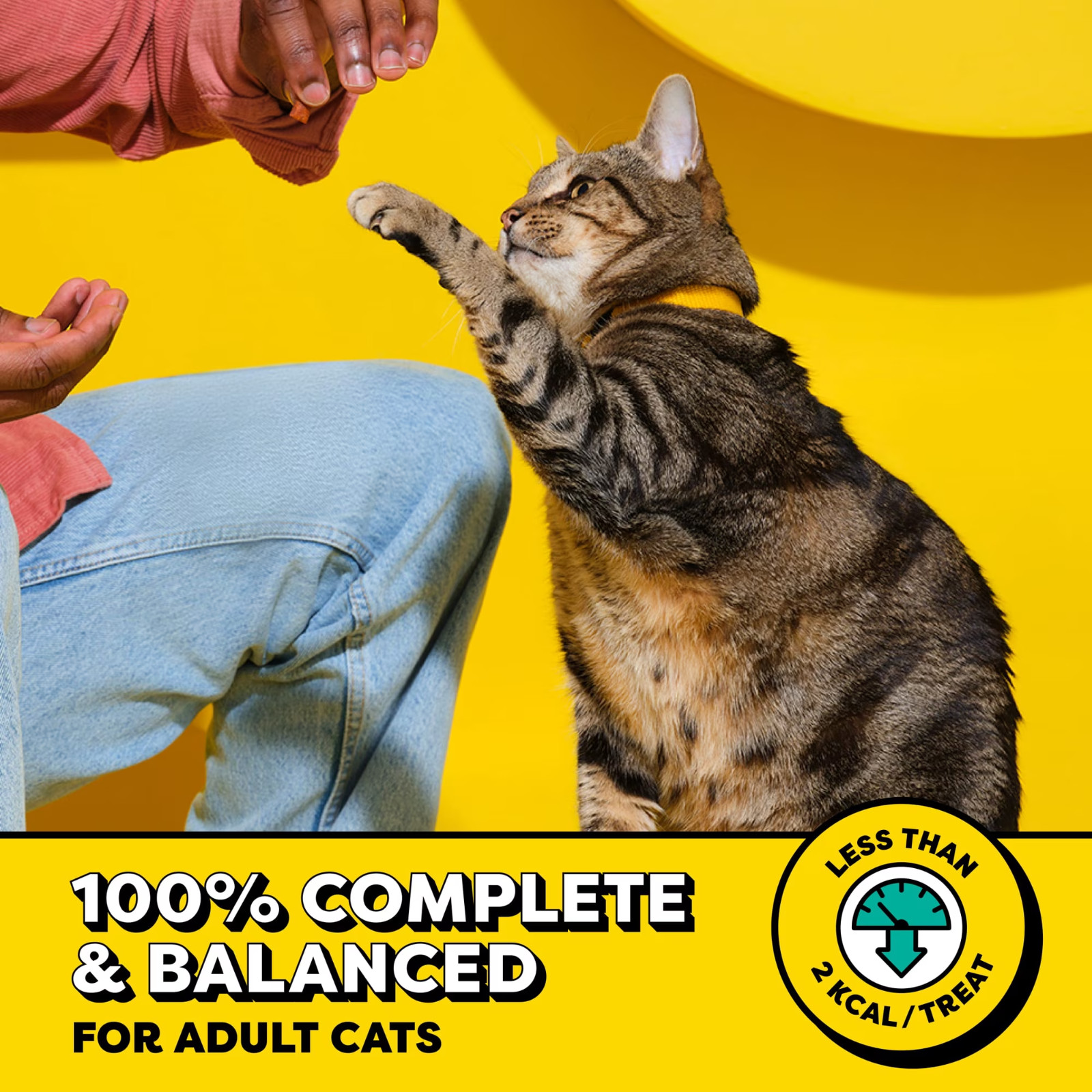 3 Tub TEMPTATIONS Classic Crunchy and Soft Cat Treats Tasty Chicken Flavor 30 oz