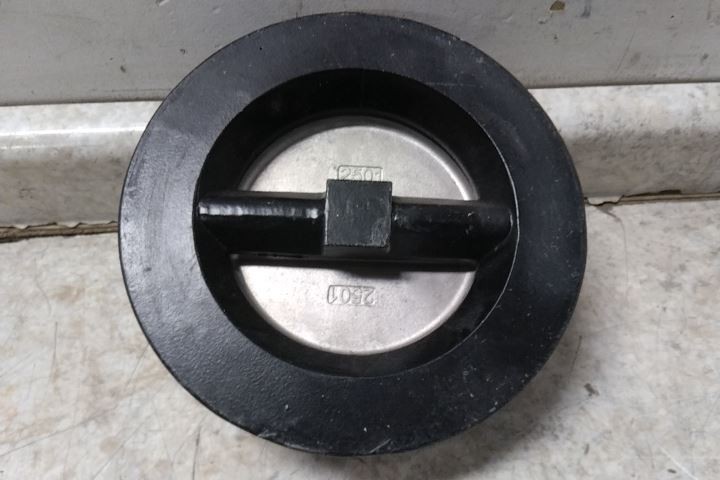 Keckley DD1F-CI-34136-600 6 In Pipe 720 GPM Cast Iron Body Check Valve
