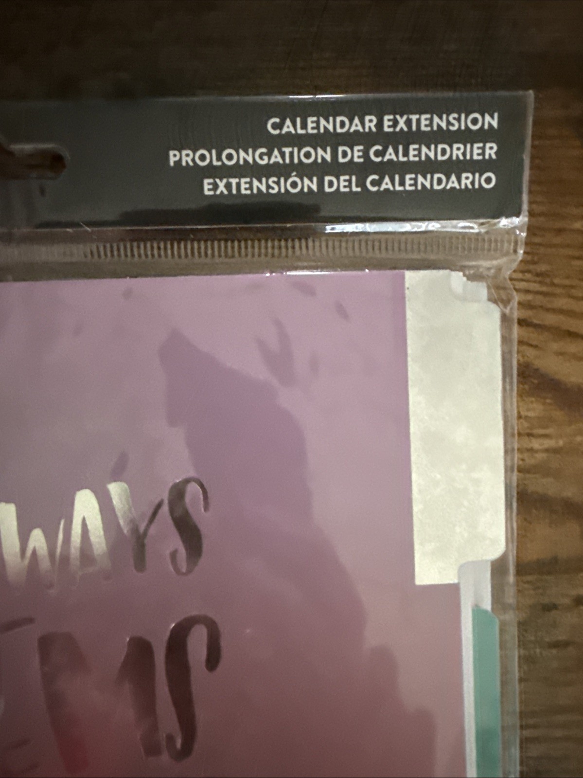 Me And My Big Ideas 463 Calendar Extension. The Happy Planner