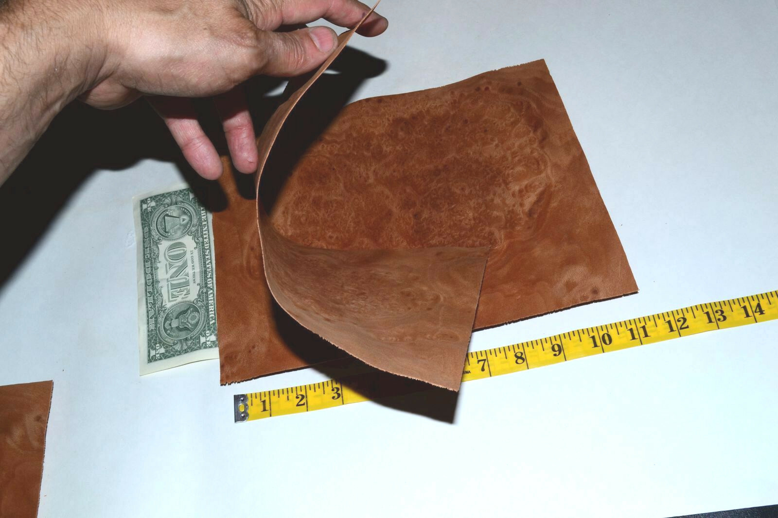 Planetree Burl Raw Wood Veneer Sheets 8 x 10 inches 1/42nd IFPa7368-37