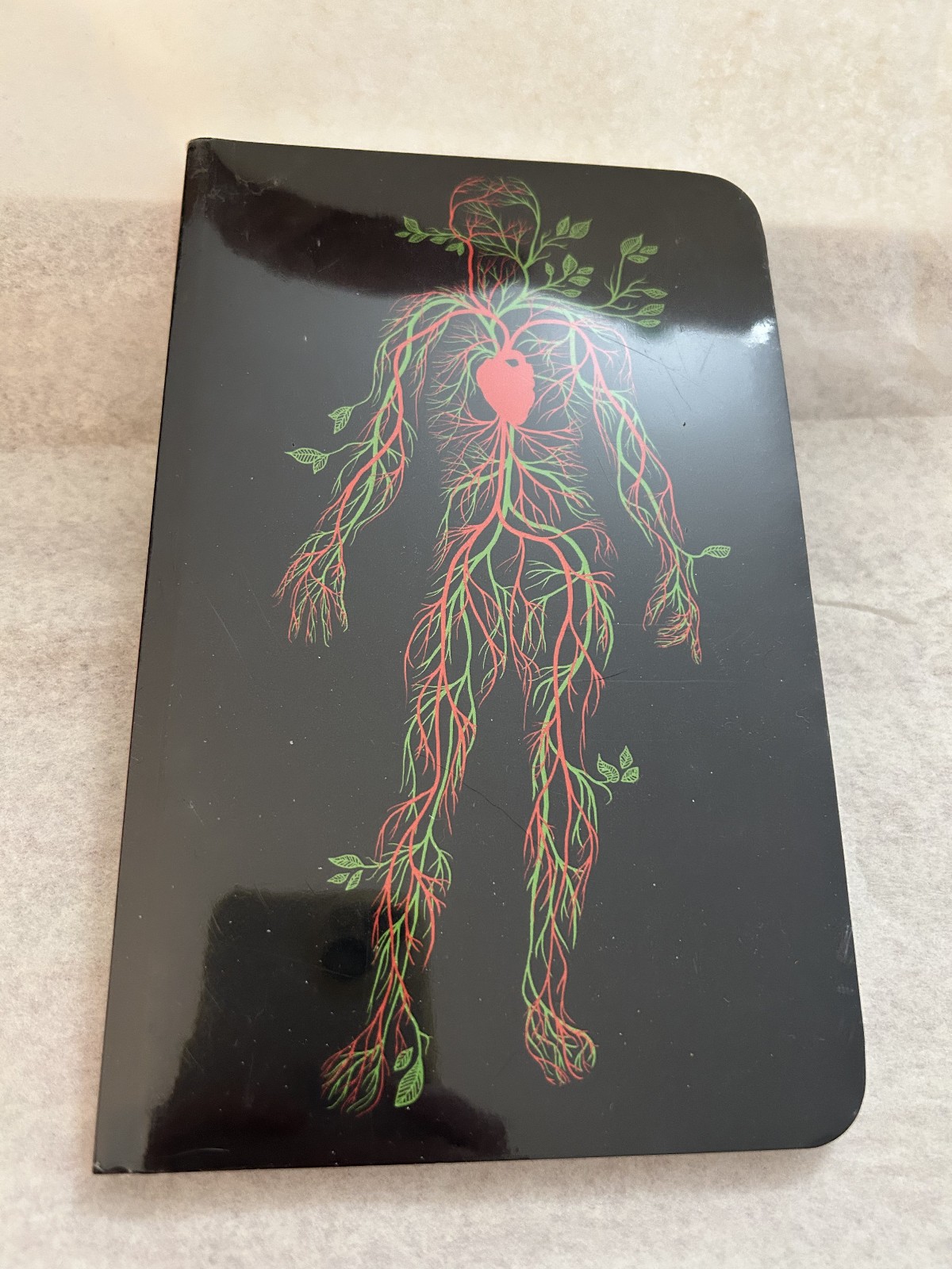 Anatomy Circulatory System Cover blank book journal, note book, copy book