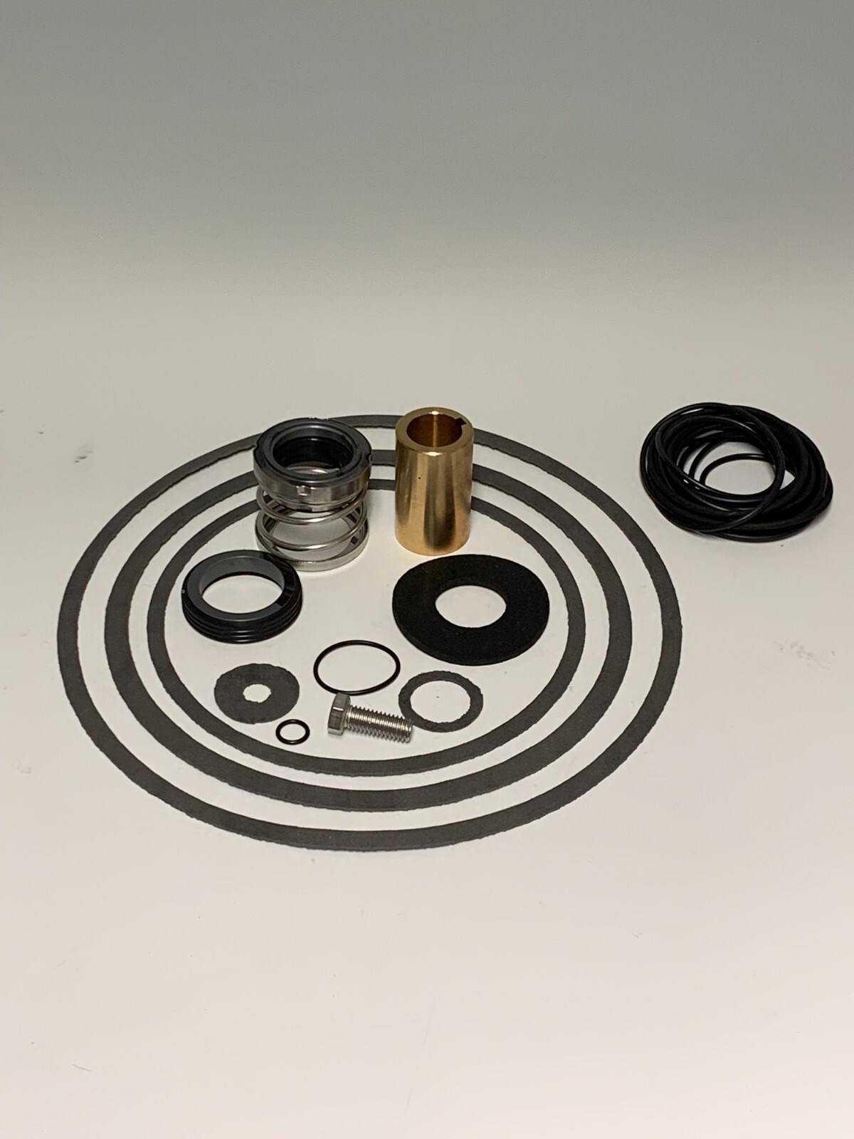 Burks Pump Rebuild Kit (1.250)