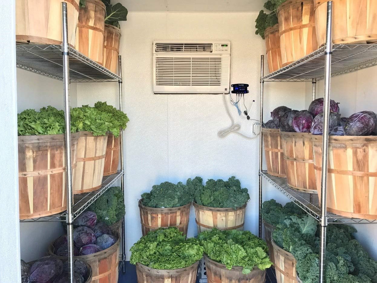 Walk-in Cooler Controller: Transform Any Room into Cold Storage (34°F-65°F)
