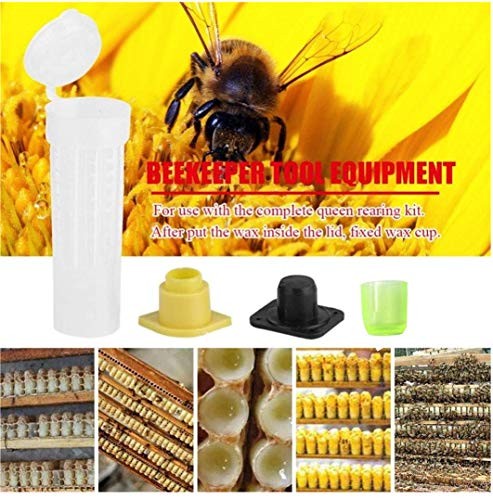 Beekeeping Rearing Cup Kit – Queen Bee Roller Cage Equipment…
