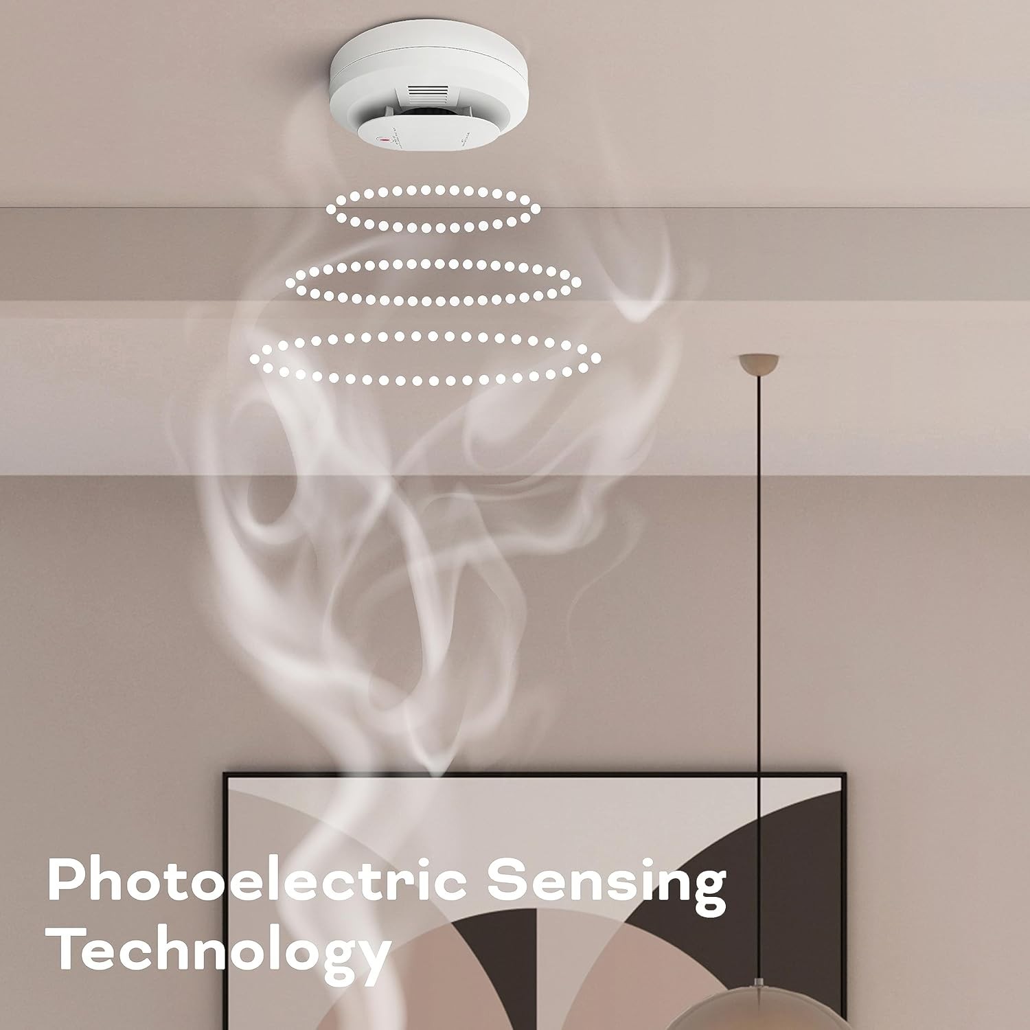 Kidde Smoke & Carbon Monoxide Detector 900-CUDR-V AA Battery Powered, not wired