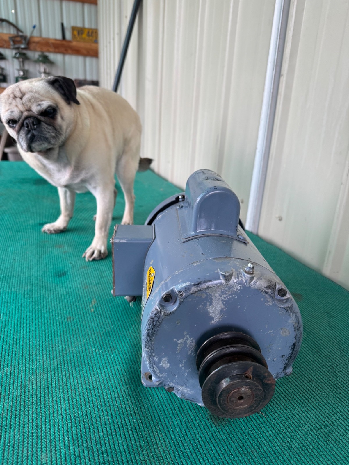 Baldor Industrial Motor 2 Hp – 3450 Rpm – 115/230V – 1 Phase – Cat No. L35151T