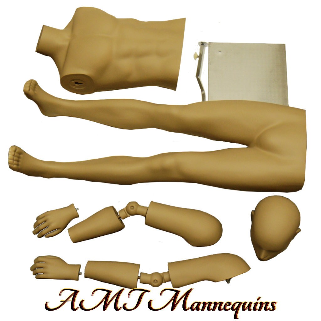 Male Skinton Heavy Duty Mannequin with Flexible Posable Arms + MetalStand MC2-DS