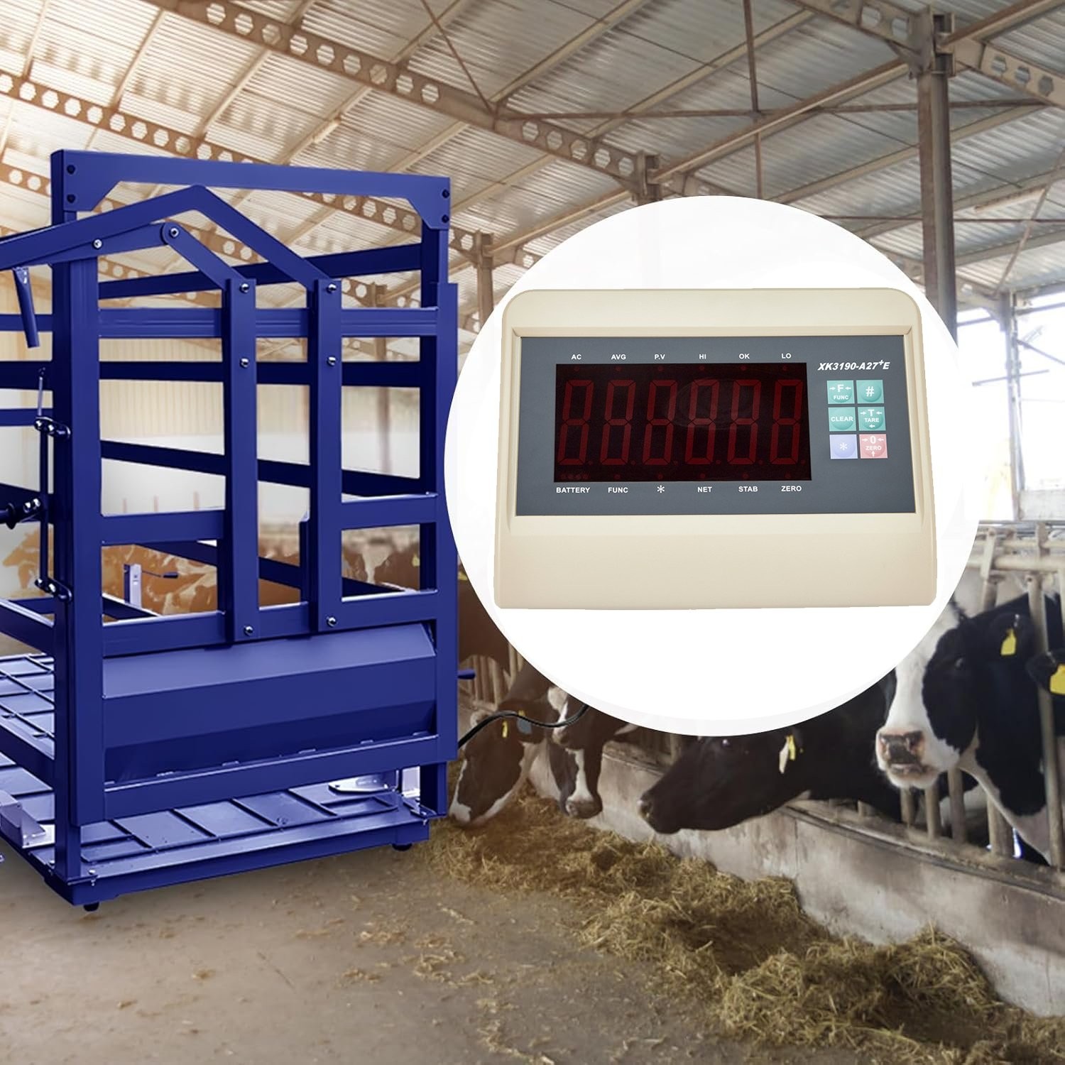 Livestock Scale 10000LBS capacity with High Precision Indicator Floor Scale kit