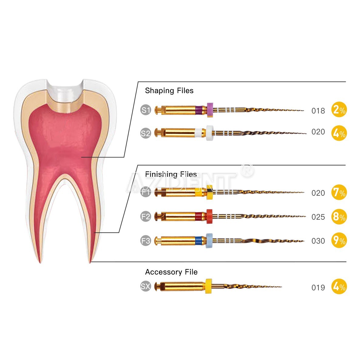 Dental Endodontic Absorbent Paper/Gutta Percha Points /Rotary K-Files Engine Use