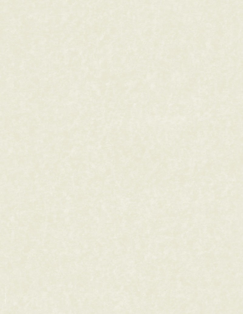 50 Sheets Faux Parchment Paper – 8.5 x 11″ Certificate & Resume Paper (Ivory)