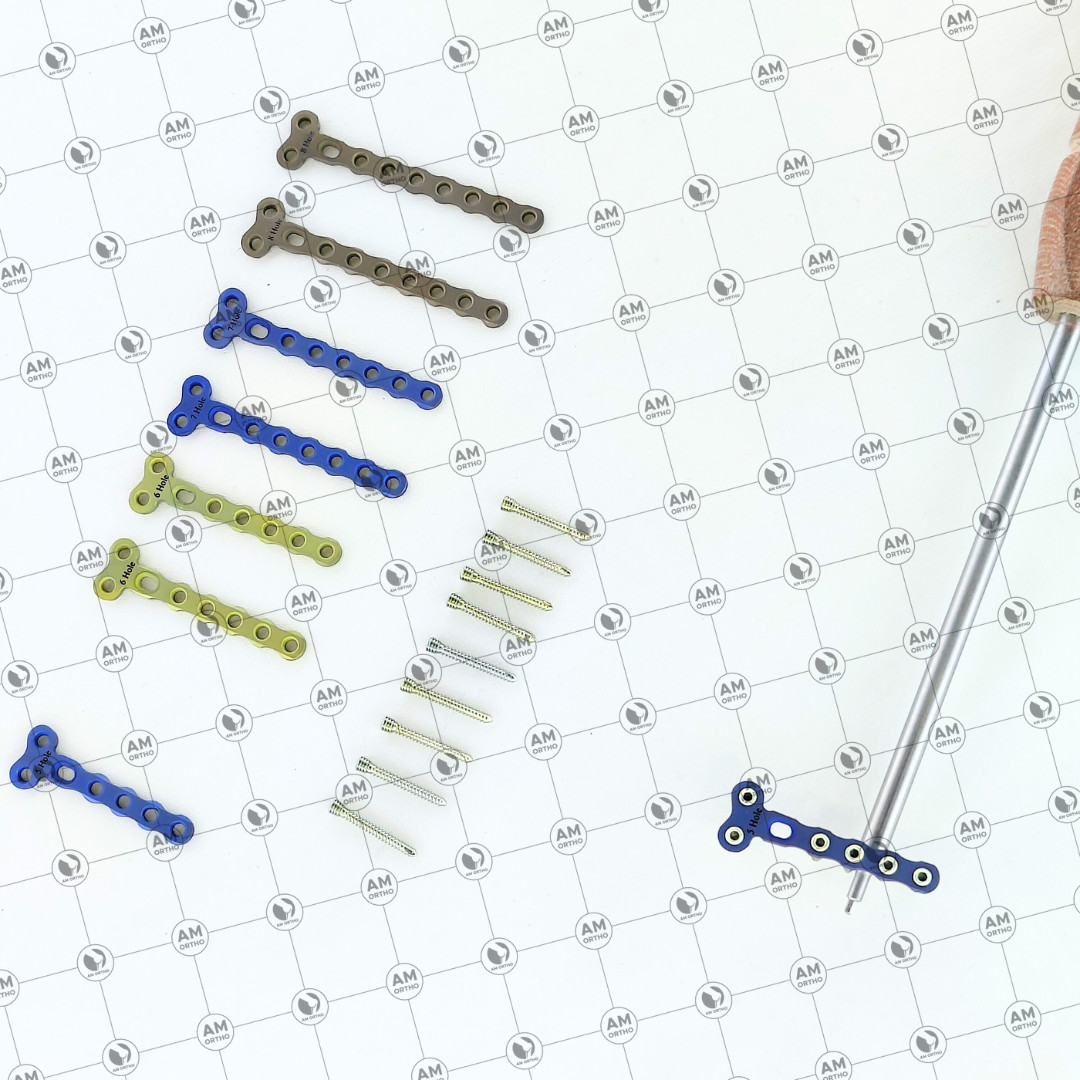 Veterinary 2.0mm Locking 2 Hole Head T Plates with Locking Screws 69 Pcs Set Ti