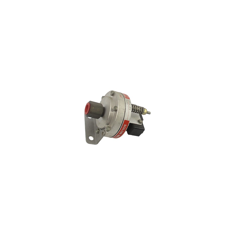 SOLON 2PSP1 300 UNMP