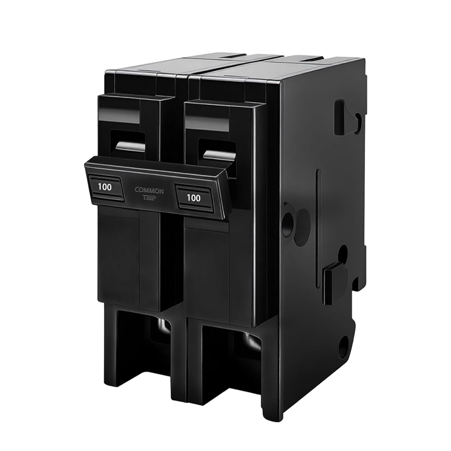 100 Amp 2 Pole Breaker,Replace for HOM2100 Circuit Breaker,100 Amp 2 Pole,120/2