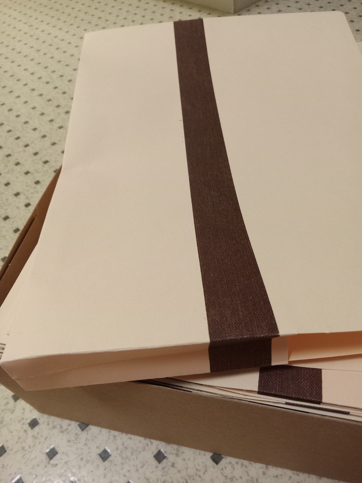 50 Count Pendaflex Expanding Vertical File Pocket 1″ (pfx-15135) (pfx15135)