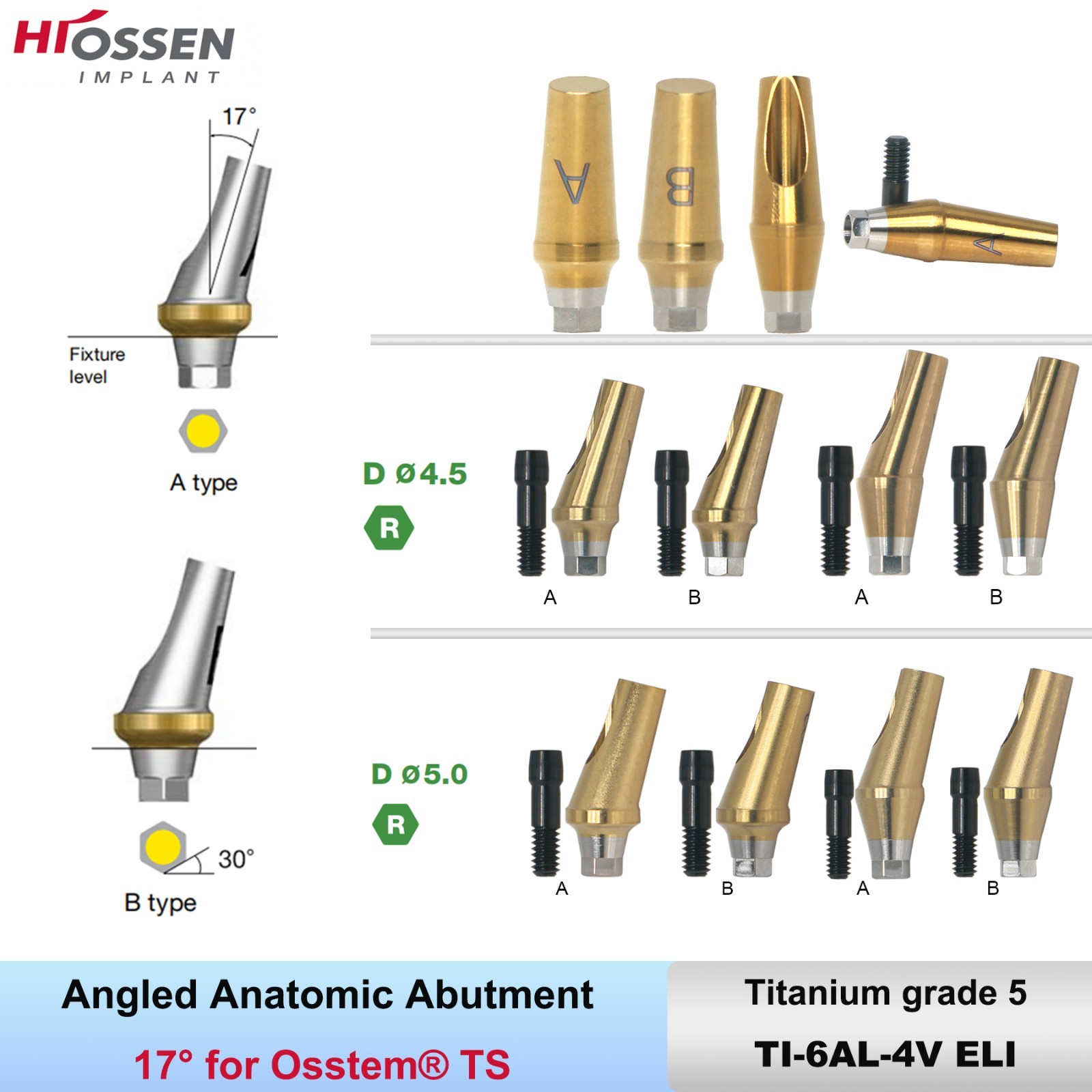 US 17° Angulated Abutment Regular Hex A/B Type For Osstem TS Regular Platform Ti