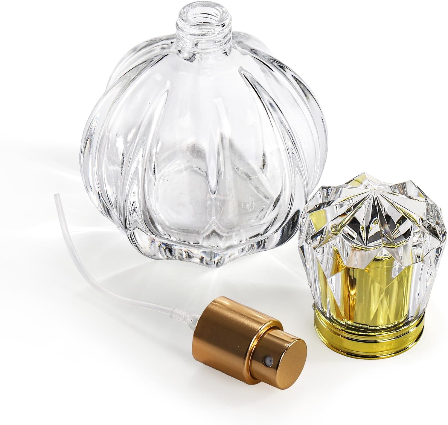 Foraineam 6 Pack 50ML / 1.7oz 2.5 x 3.7 inch / 6.4 x 9.5cm (W x H), Clear