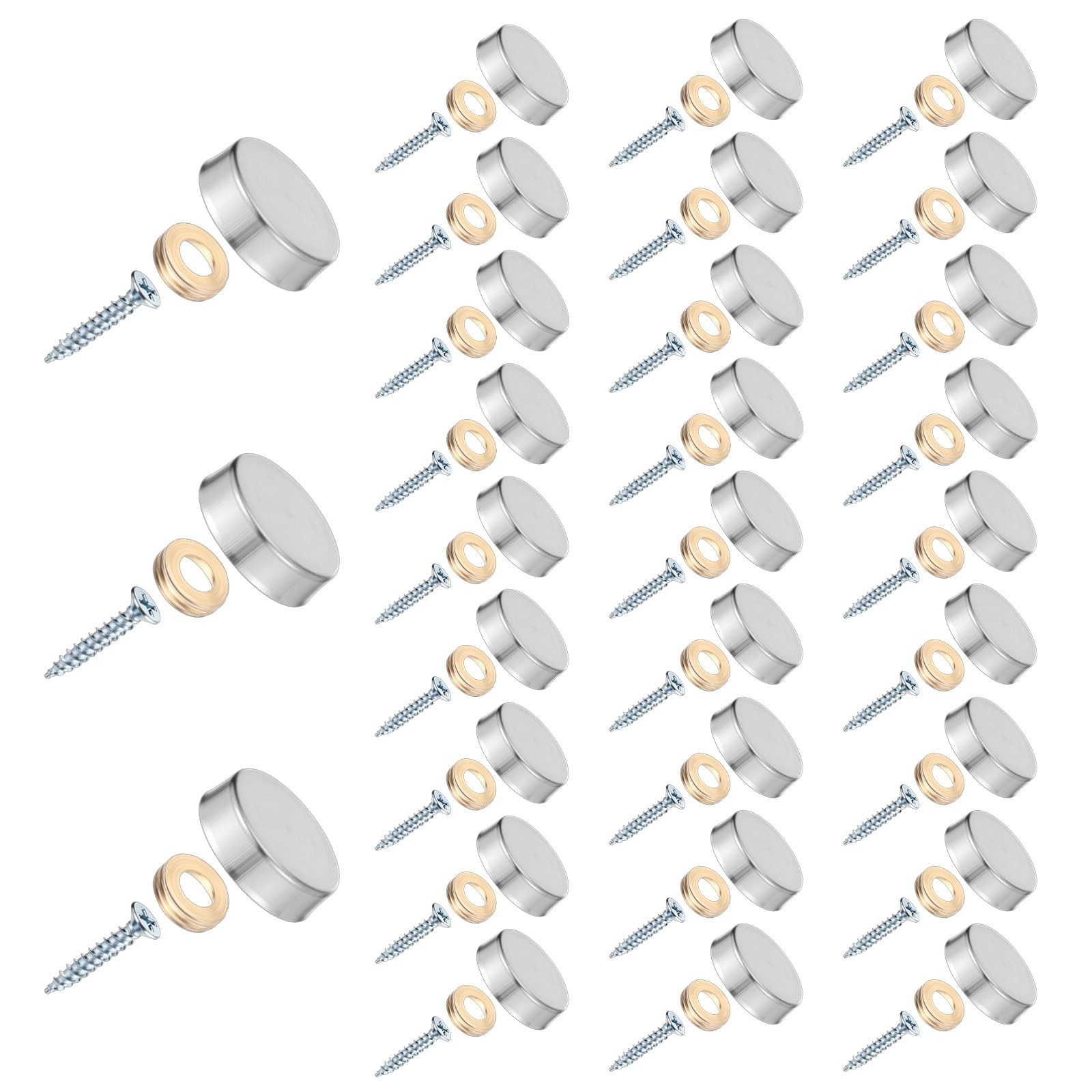 30 PCS Decorative Screws with Caps, Screws with Caps Stainless Steel Mirror D…