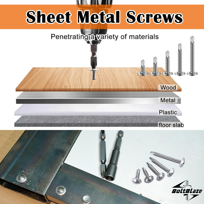 160-Piece #8 Stainless Steel Self-Tapping Screw Kit for Metal & Wood Projects