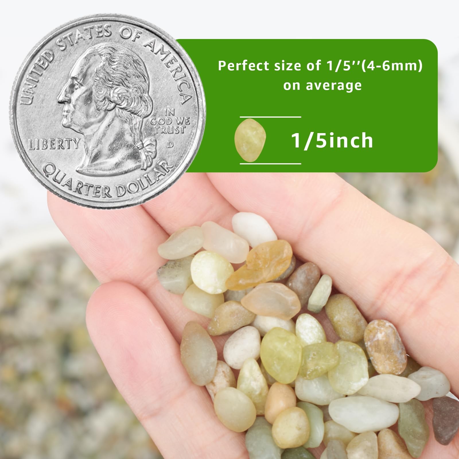 10lbs Natural Gravel Pebbles for Succulents and Cacti, 1/5 Inch Decorative Ri…