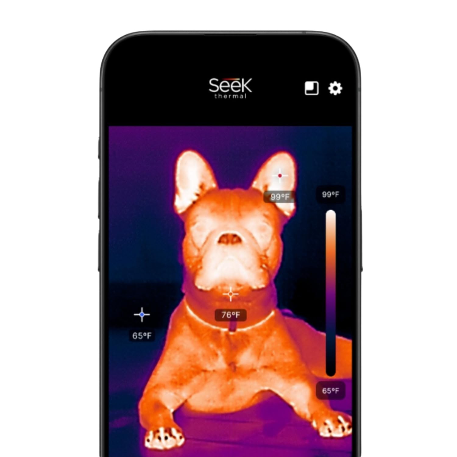 Seek Thermal – Nano 200 Thermal Camera for Apple iOS with USB-C Connector,iPhone