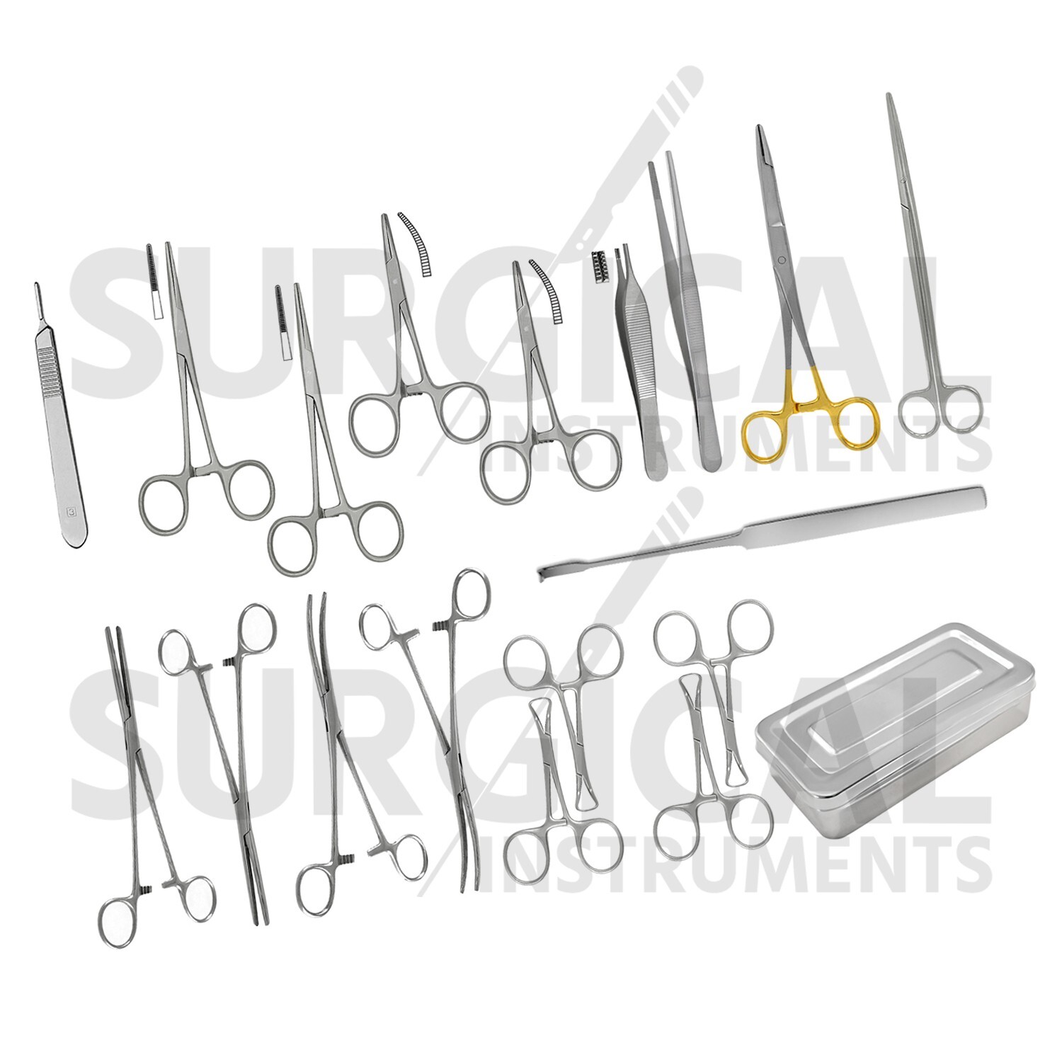22 Pcs Feline Spay Set Stainless Surgical Veterinary Instruments kit German GR