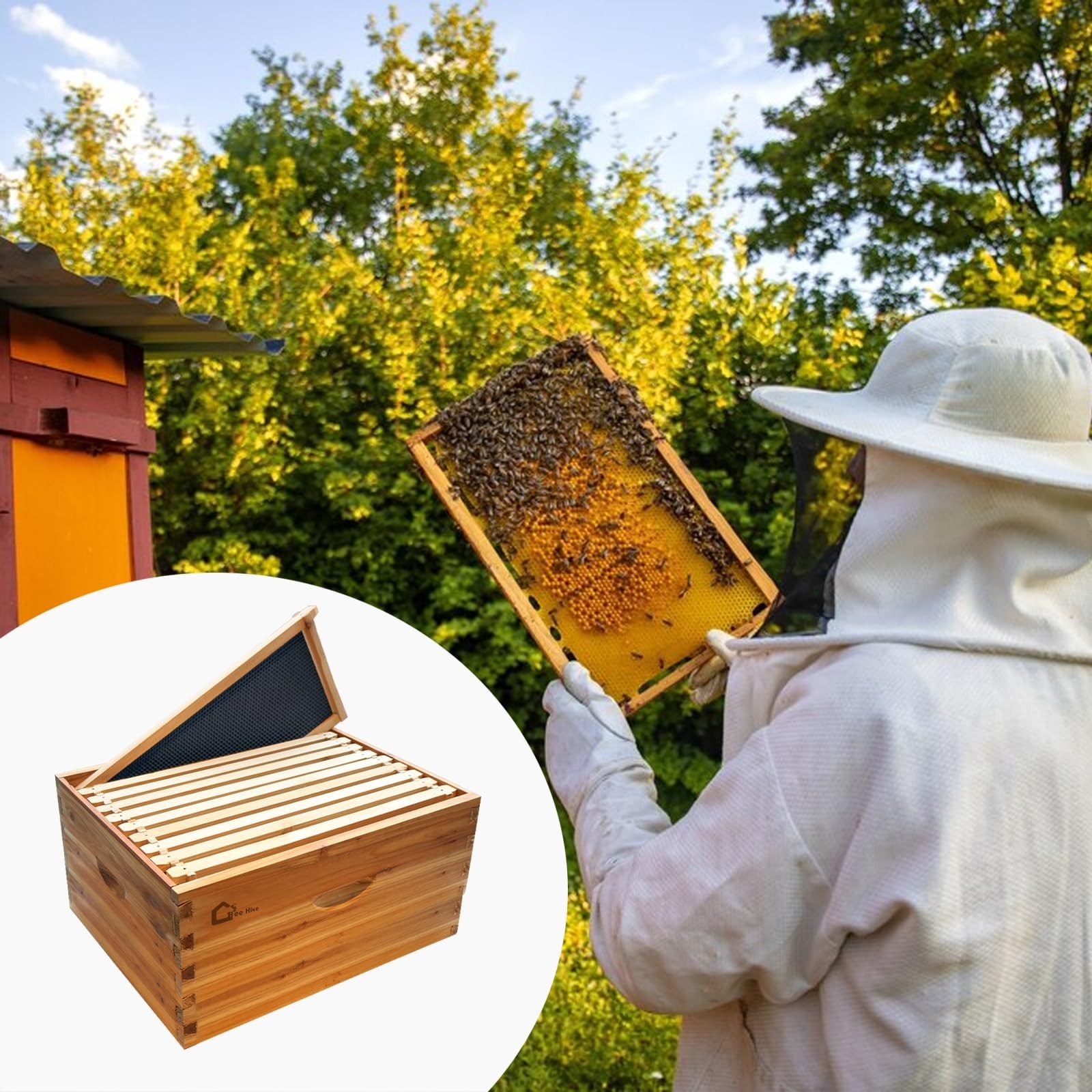 Beehive 10 Frame Complete Box Kit Langstroth Traditional Beekeeping Waterproof