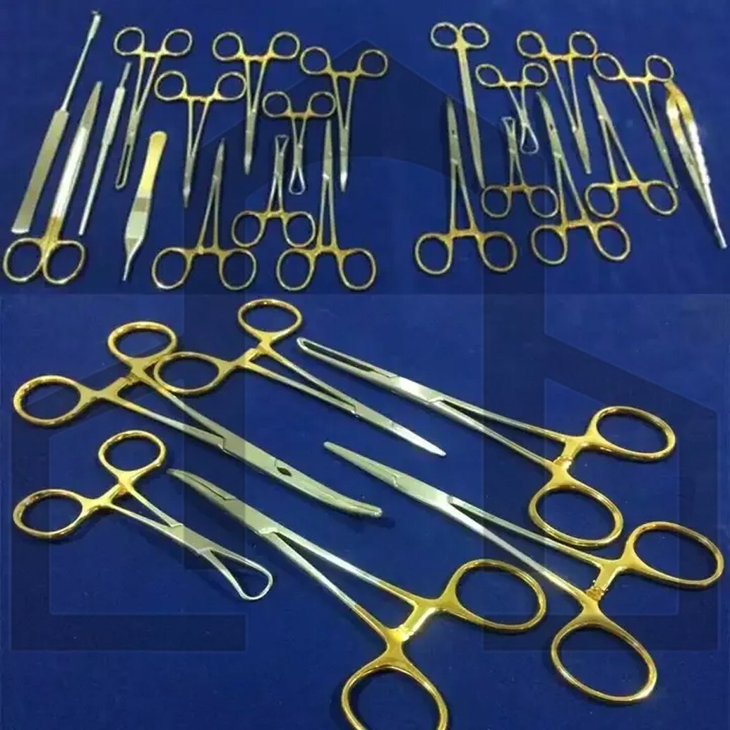 21 PCS Set GOLD HANDLE T/C FELINE SPAY PACK SURGICAL INSTRUMENTS KIT