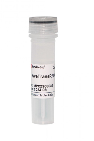 RNA Transfection Reagent, 0.5 mL