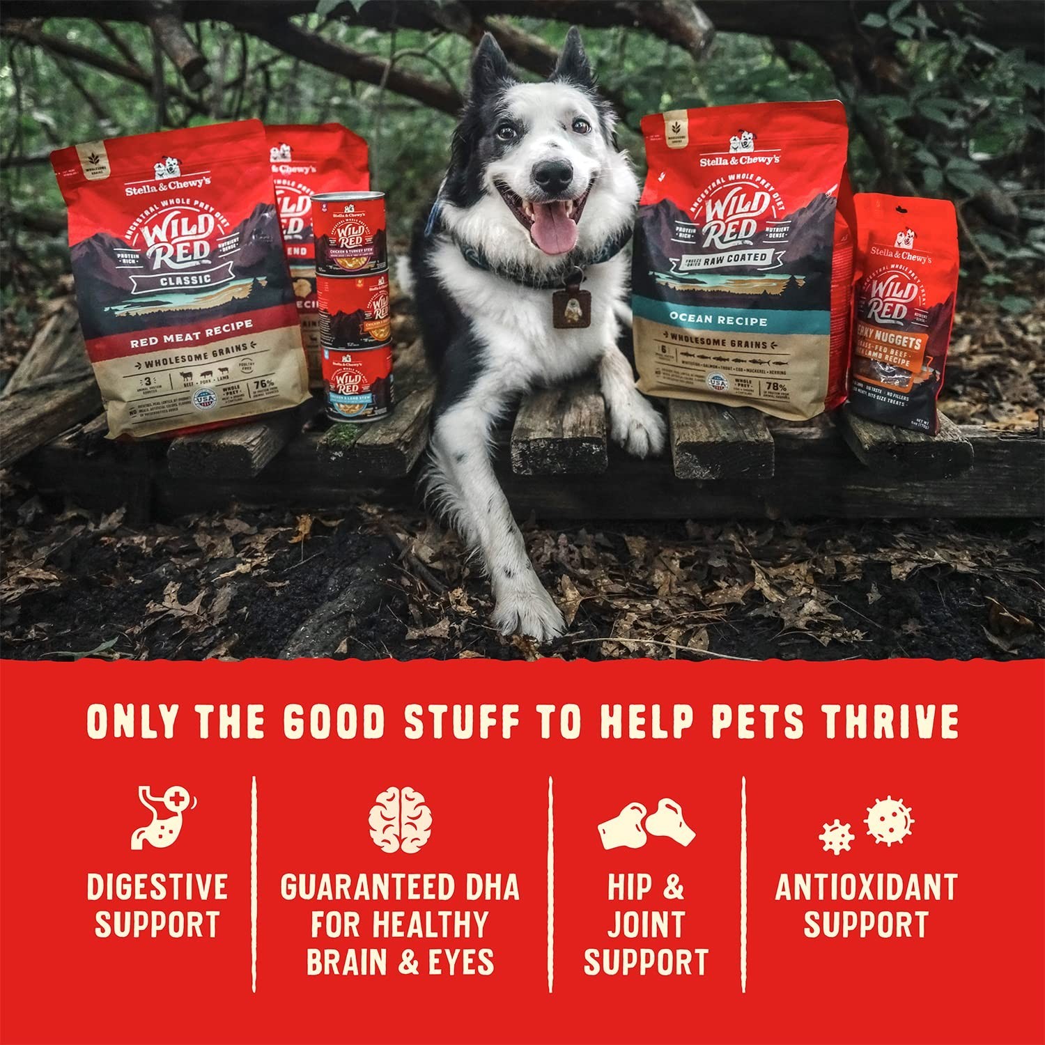 Stella & Chewy’s Wild Red Dry Dog Food Raw Coated High Protein Grain, 21 lb. Bag