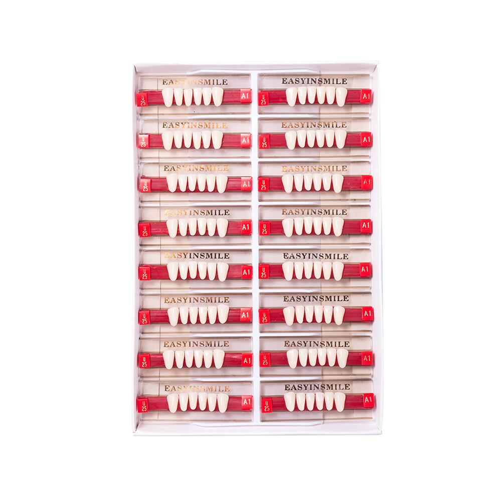Dental Acrylic Resin Denture Teeth False DIY Full Set Anterior Posterior A1A2A3