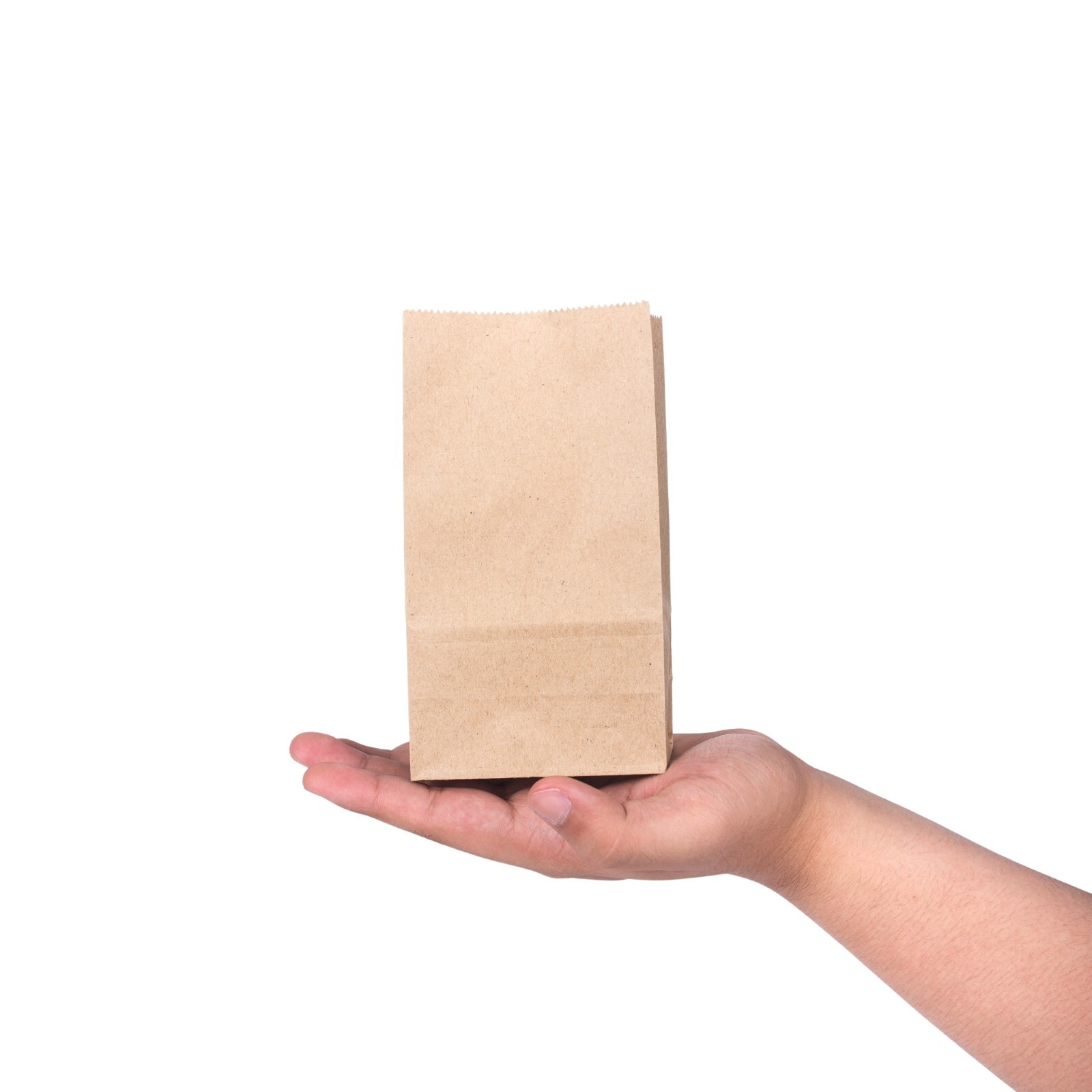 100 Pack – Mini Brown Kraft Paper Bag – Multipurpose Paper Bags ( 1LB ) Small