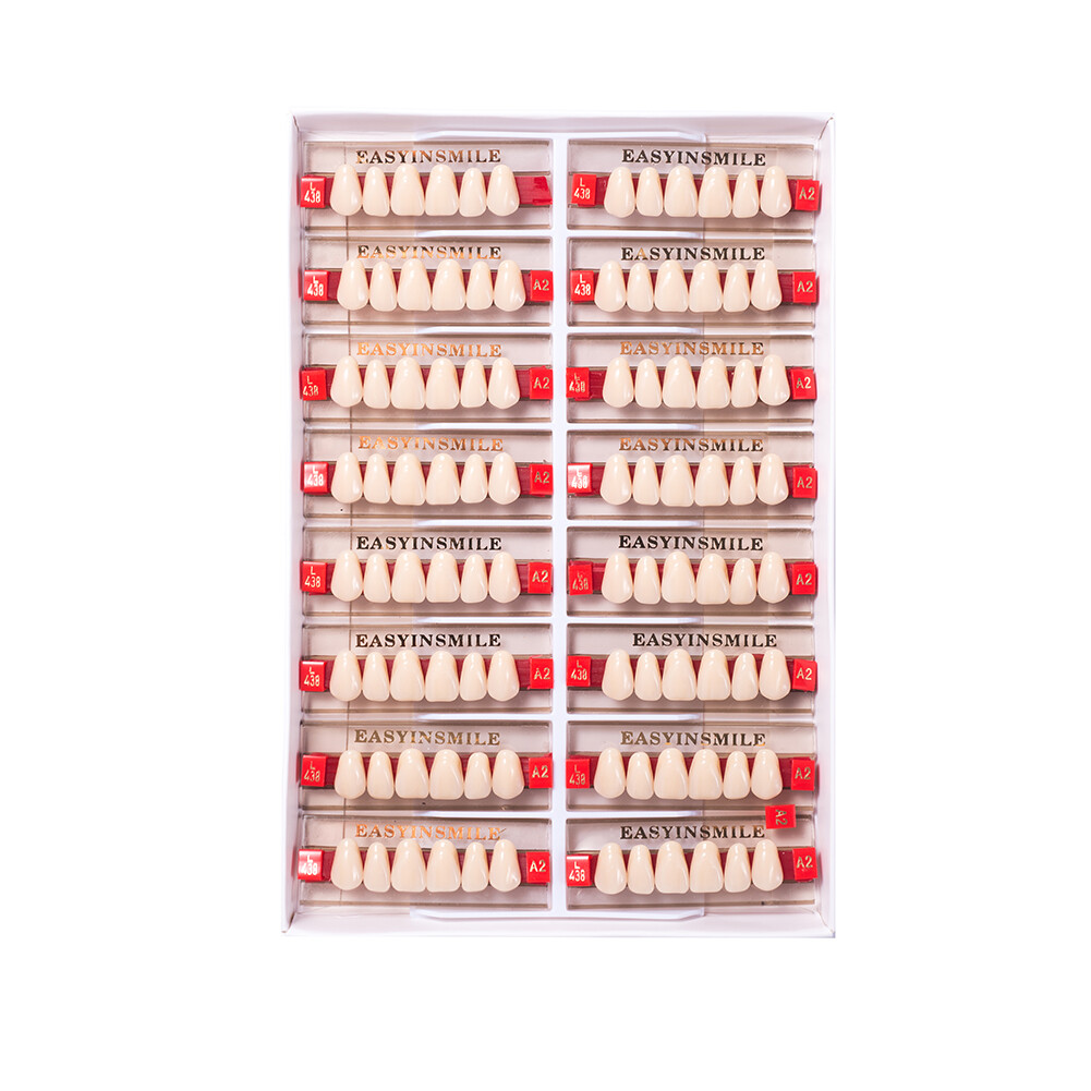 Dental Acrylic Resin Denture Teeth False DIY Full Set Anterior Posterior A1A2A3