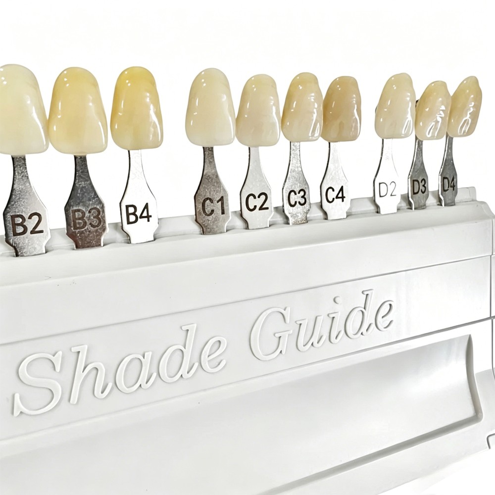 1/2 Set For VITA Classical Dental Shade Guide with Bleached Shades Clip New