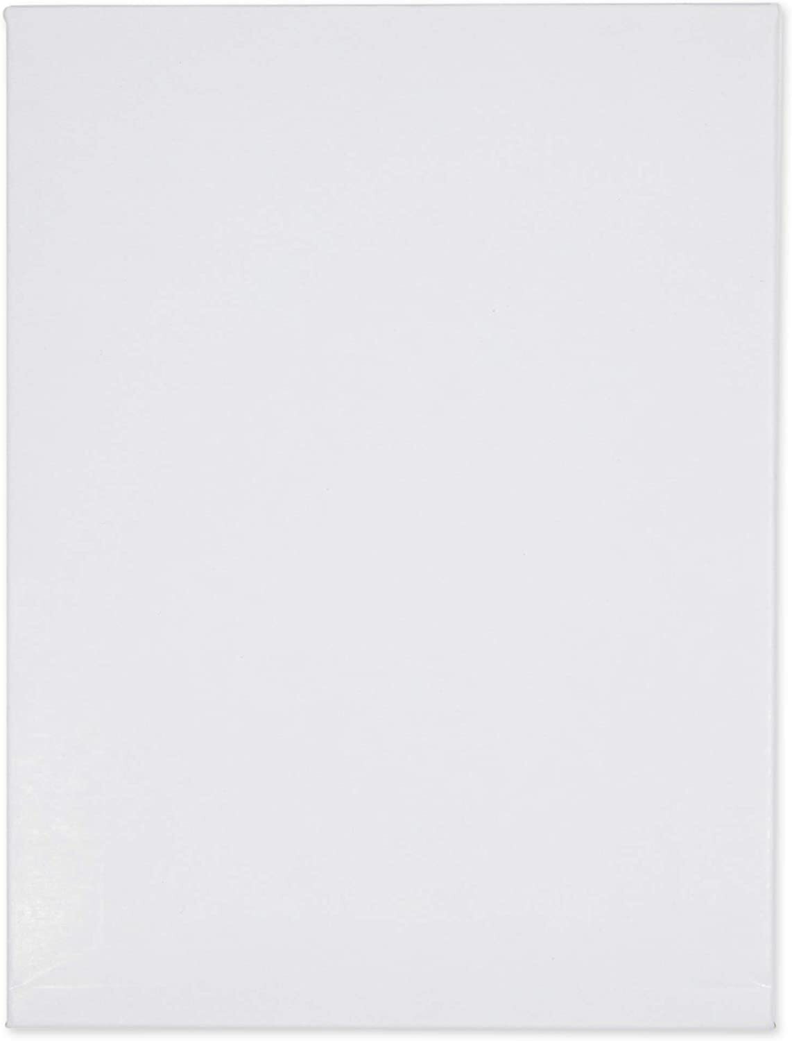 100 – 6″ x 8″ White CD/DVD Photo Ship Flats Cardboard Envelope Mailer Mailers