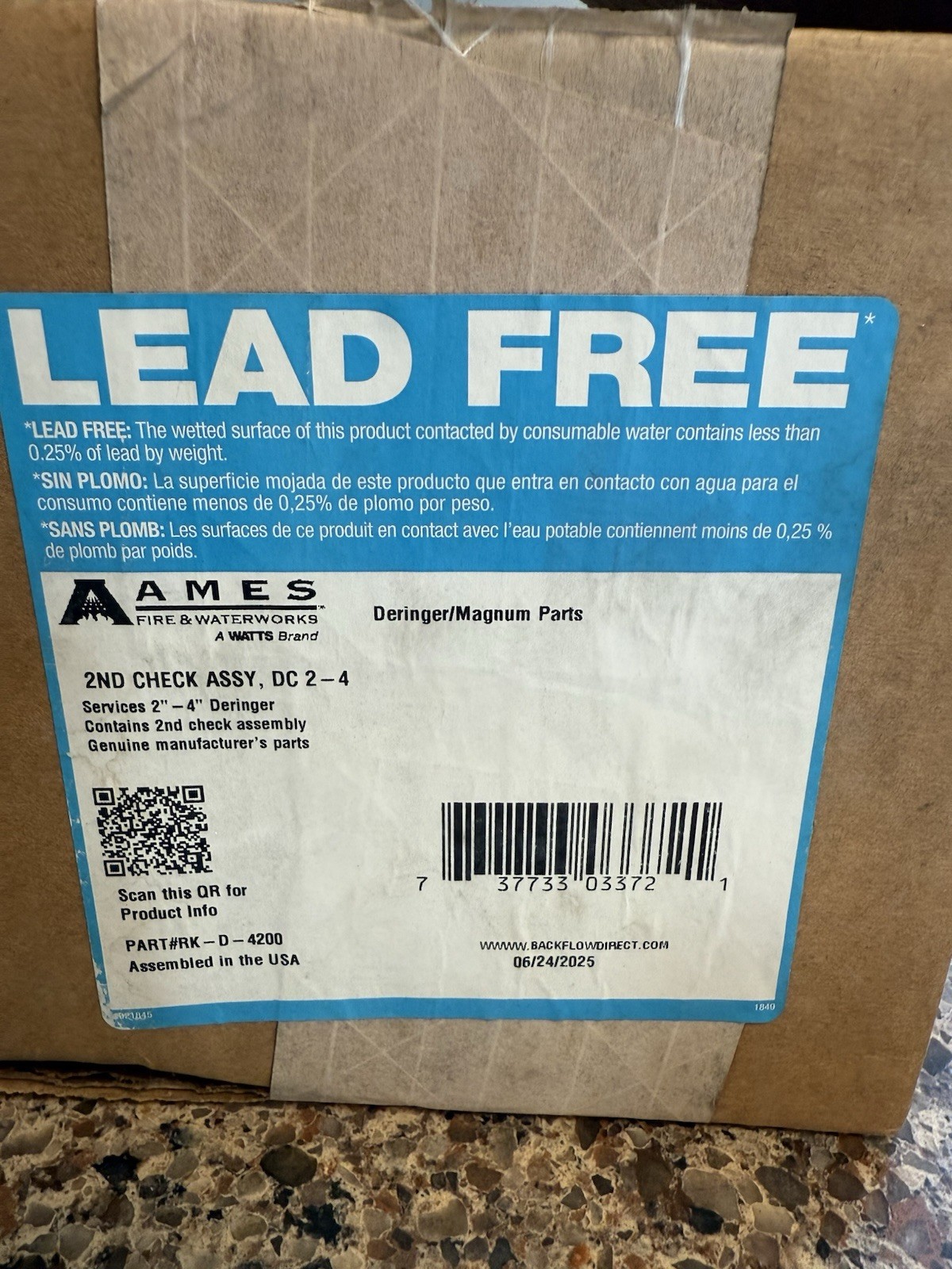 Ames 2nd Check Assembly For 2-4” Deringer