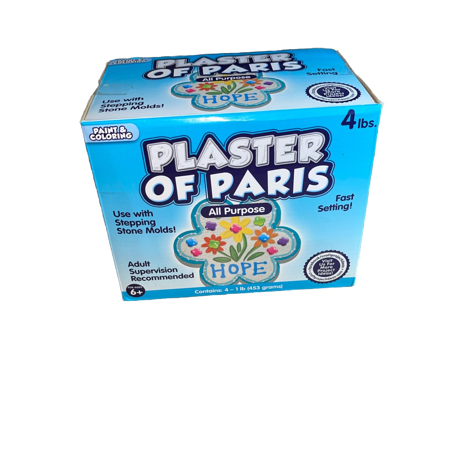 Plaster of Paris, ALL PURPOSE Sets In 20 To 30 Minutes – 4 Lbs Paint & Color