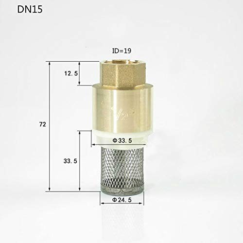 Check Valve for Pump 1/2 3/4 1 11/4 11/2 2 21/2 3 Inch Foot Valve with S…