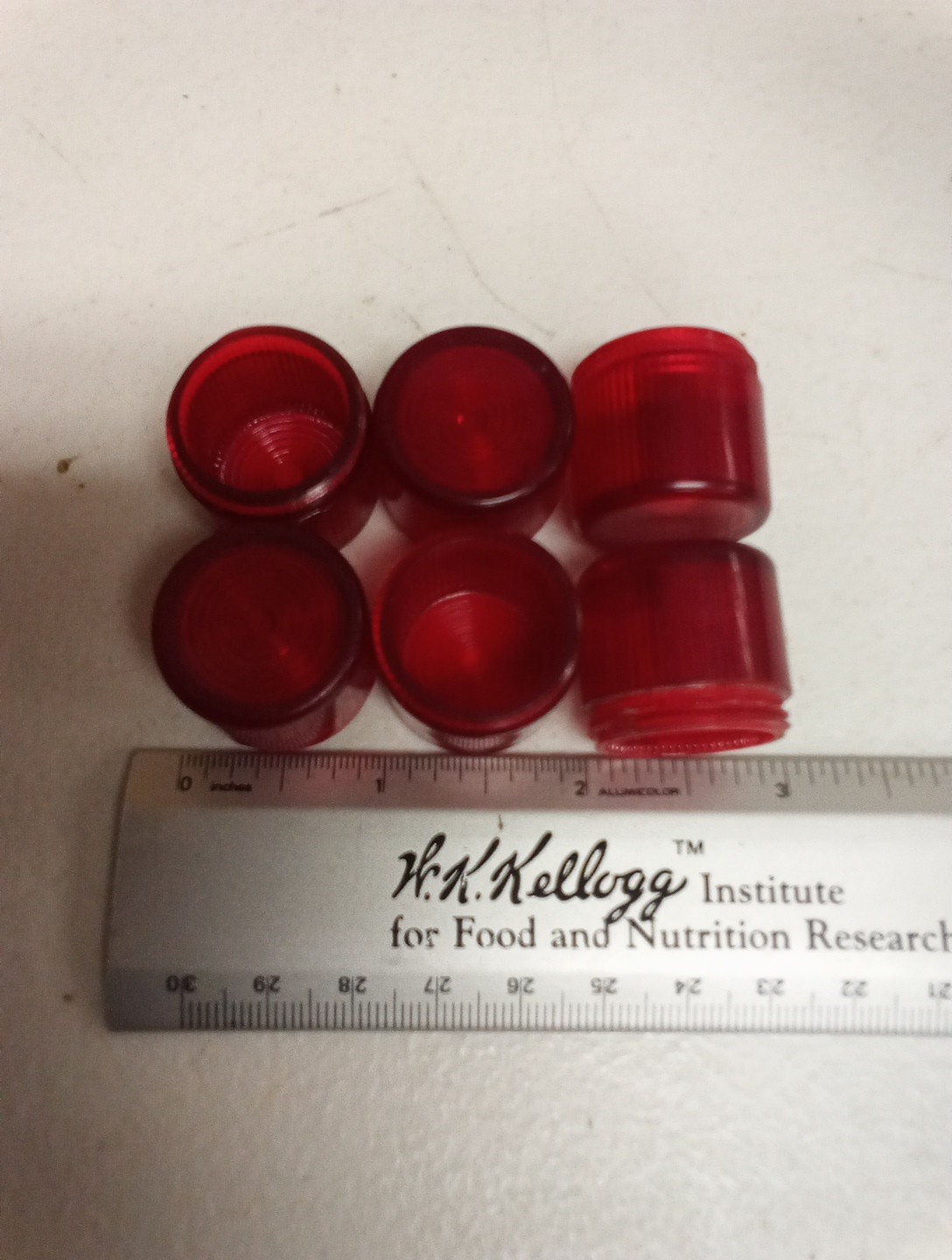 Red Plastic Pilot Light Lens Eaton 10250TC1N (E34V2)