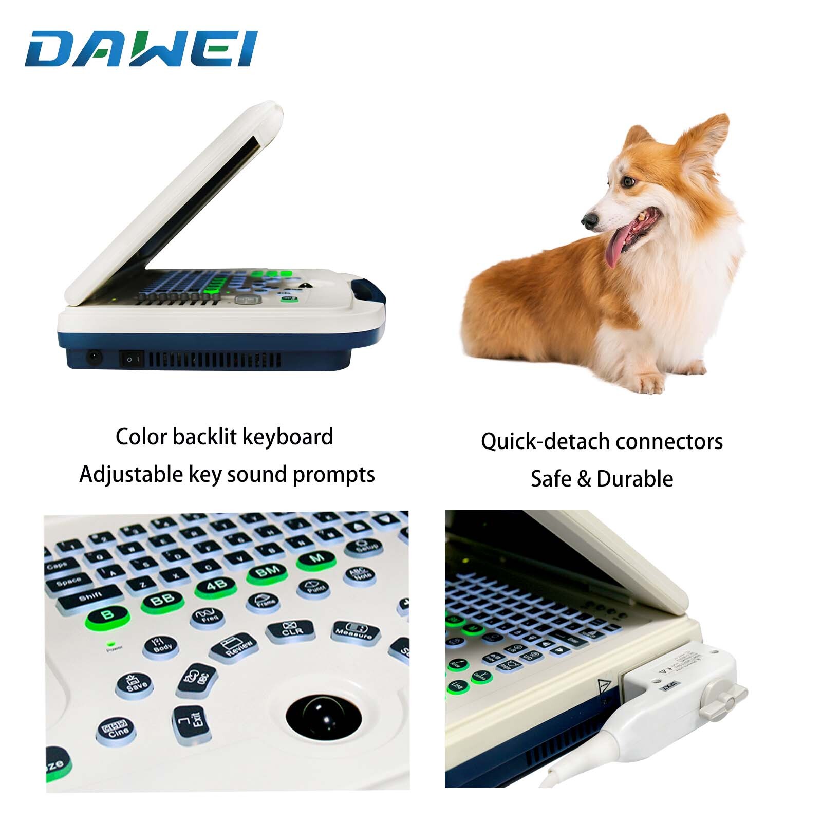Laptop Vet Ultrasound Machine Scanner 5.0Mhz Micro-Convex probe For pregnancy