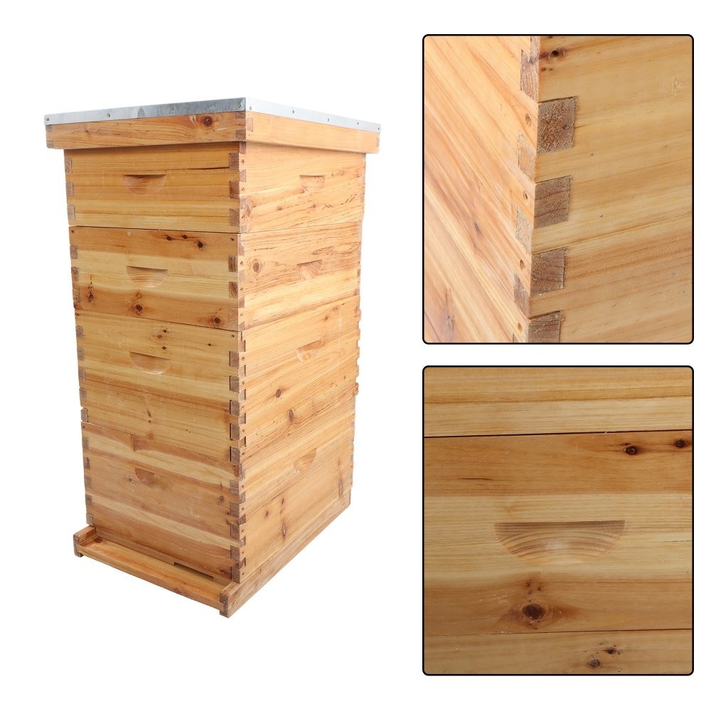 8 Frame Bee Hive Box Beeswax Coated With Frames and Waxed Foundations 4 Layer